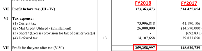 Amarjyot Chemicals Ltd Net Profit FY2018